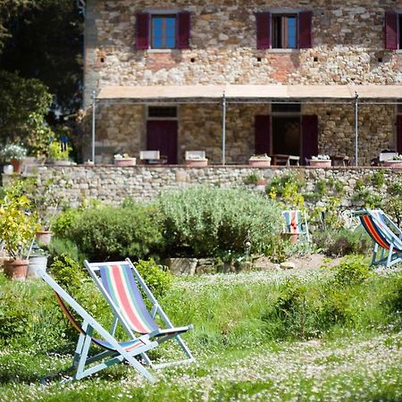 Ancora Del Chianti Bed and Breakfast Greve in Chianti Exteriör bild