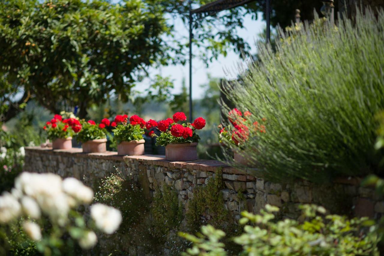Ancora Del Chianti Bed and Breakfast Greve in Chianti Exteriör bild